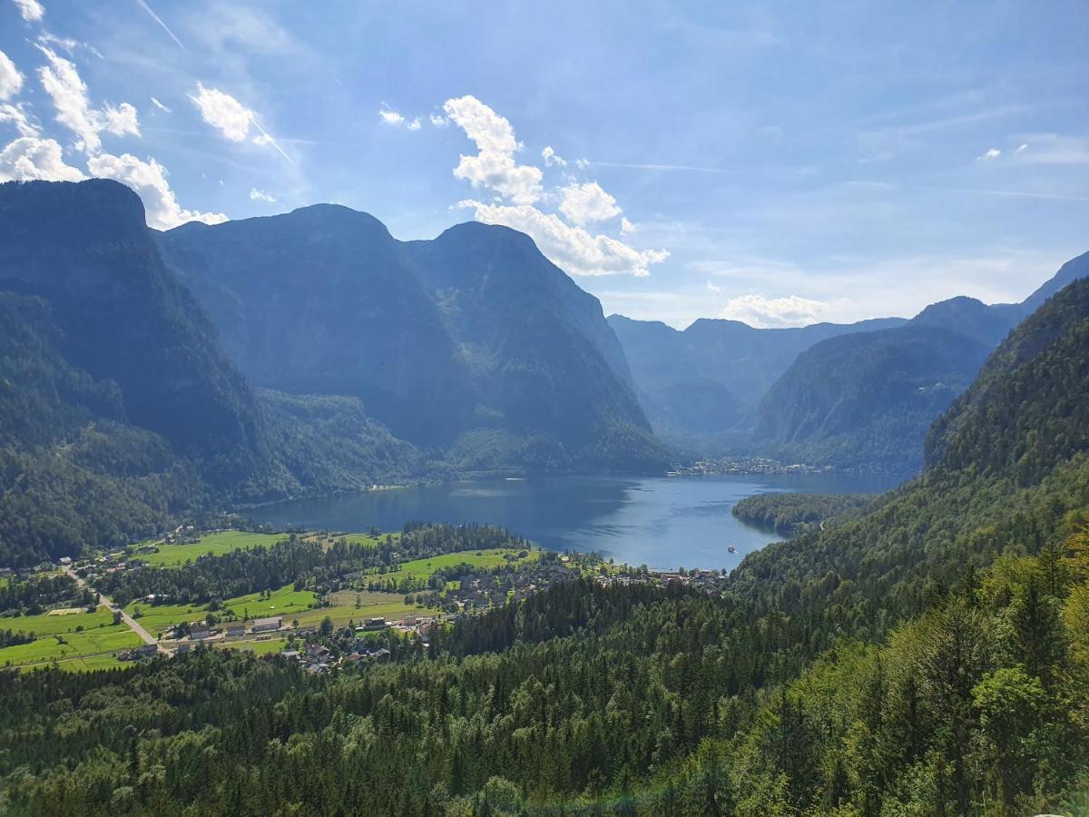 Haus Salzkammergut โอเบอร์ทราวน์ ภายนอก รูปภาพ