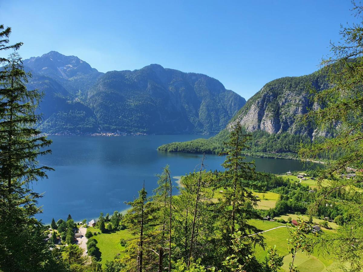 Haus Salzkammergut โอเบอร์ทราวน์ ภายนอก รูปภาพ