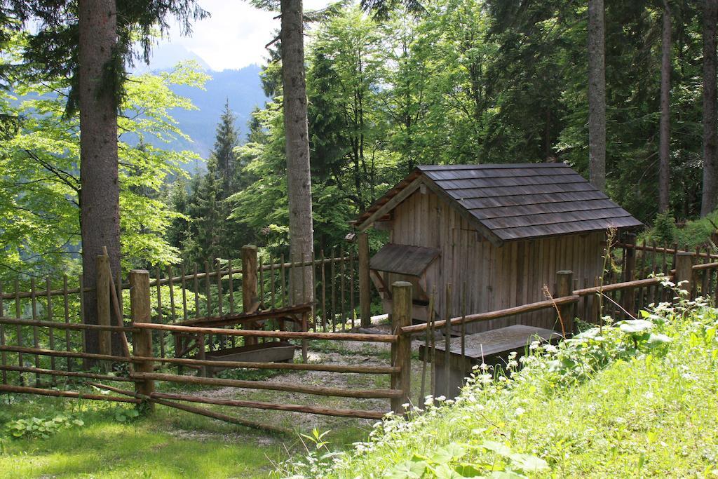 Haus Salzkammergut โอเบอร์ทราวน์ ภายนอก รูปภาพ